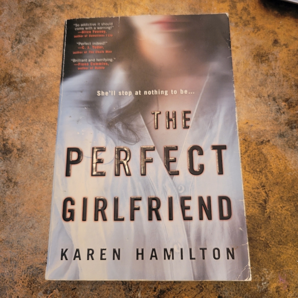 The Perfect Girlfriend Paperback Thriller Novel by Karen Hamilton - GUC